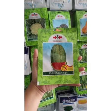 Benih semangka BAGINDA F1 80BJ
