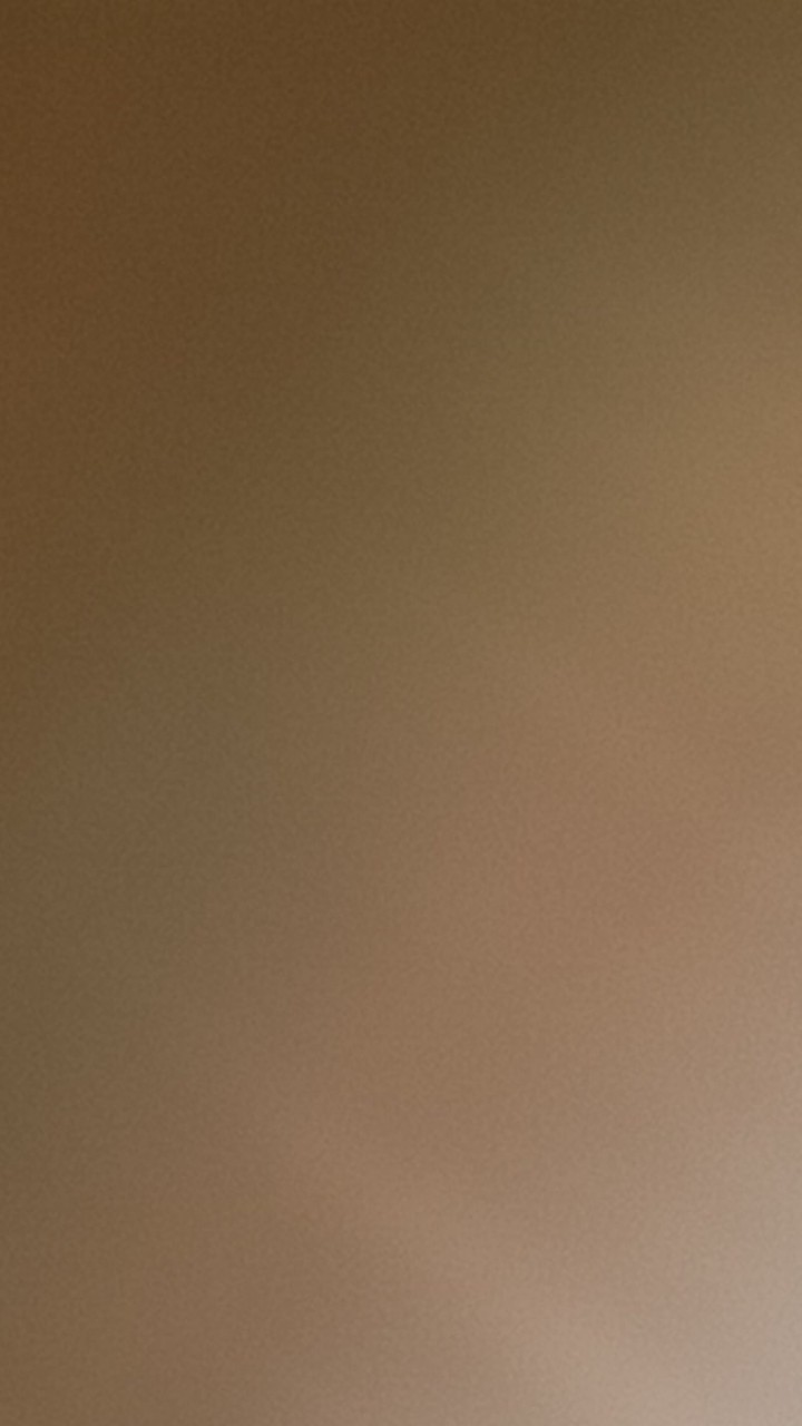 Stik Rotan / Rattan Stick Reed Diffuser Model Lurus