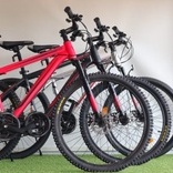 Sepeda Gunung MTB Element Pandora 26 Inch Shimano Alloy Garansi SNI-4