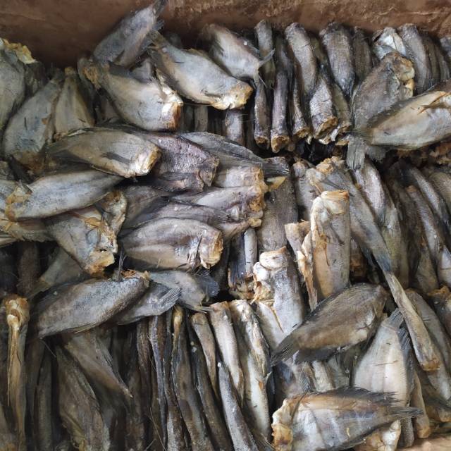

Ikan Asin Sepat Super