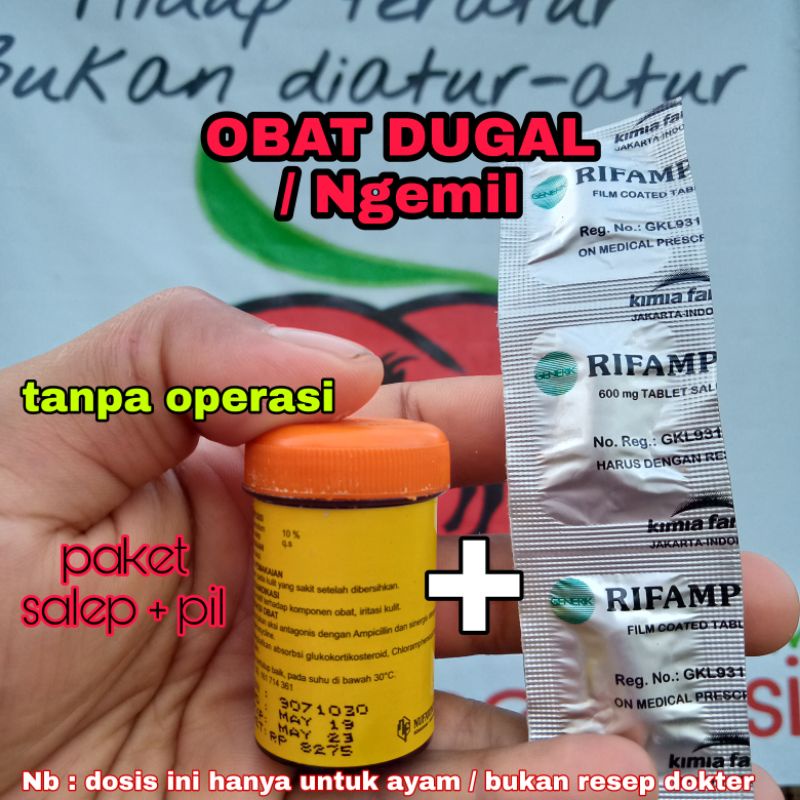 obat dugal ayam tanpa operasi