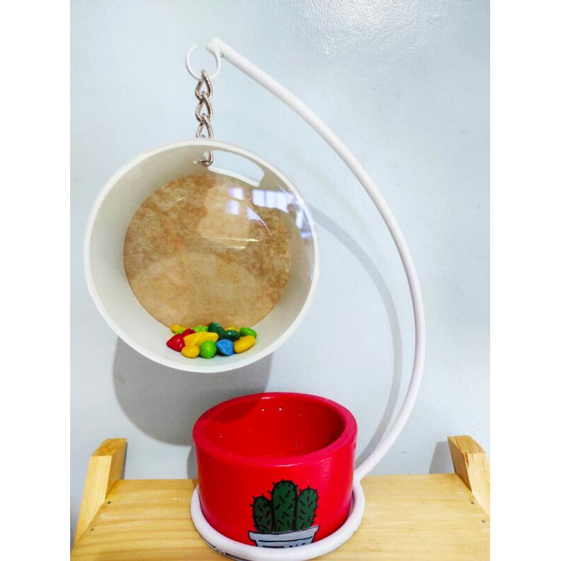 aquarium gantung mix pot tanaman mini