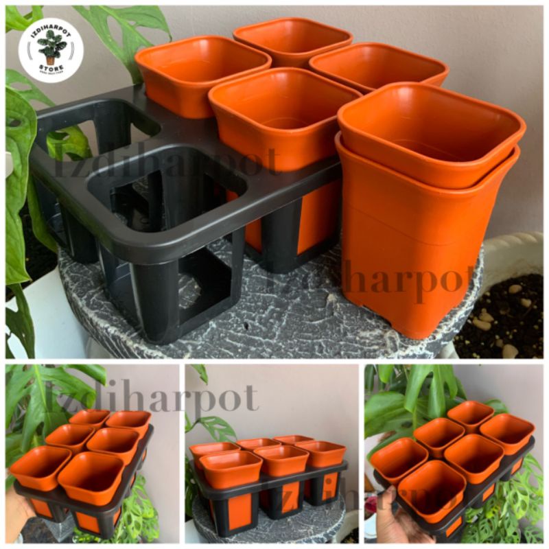 1 set Tray + POT BUNGA NKT KOTAK 7 CM MERAH BATA | tray semai bibit