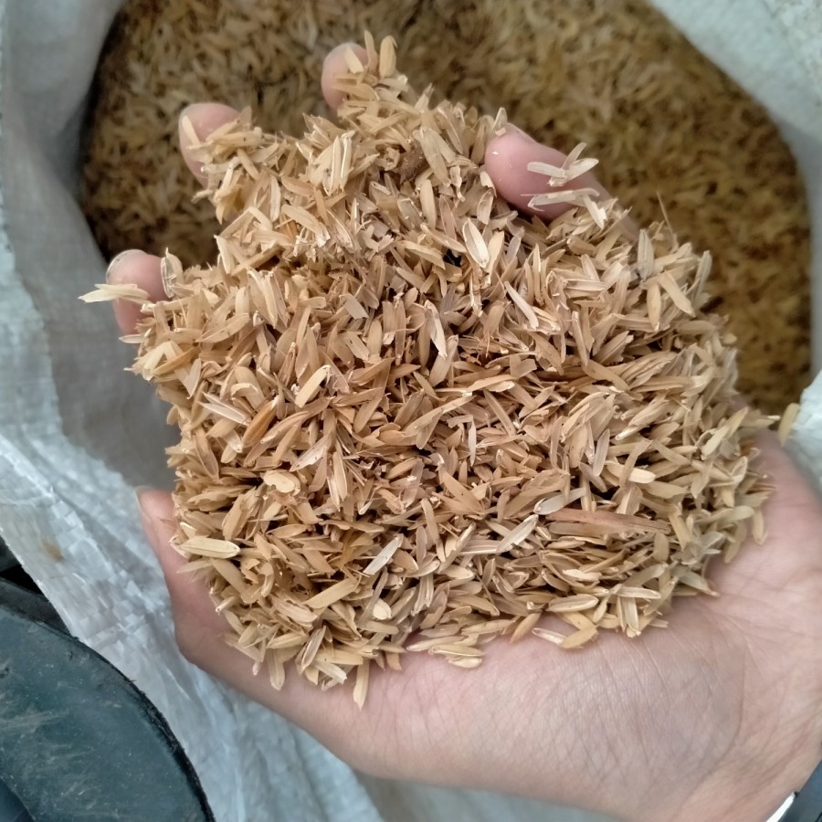 Sekam Fermentasi Siap Pakai 1kg Media Tanam Aglonema Monstera Variegata Alocasia Philo