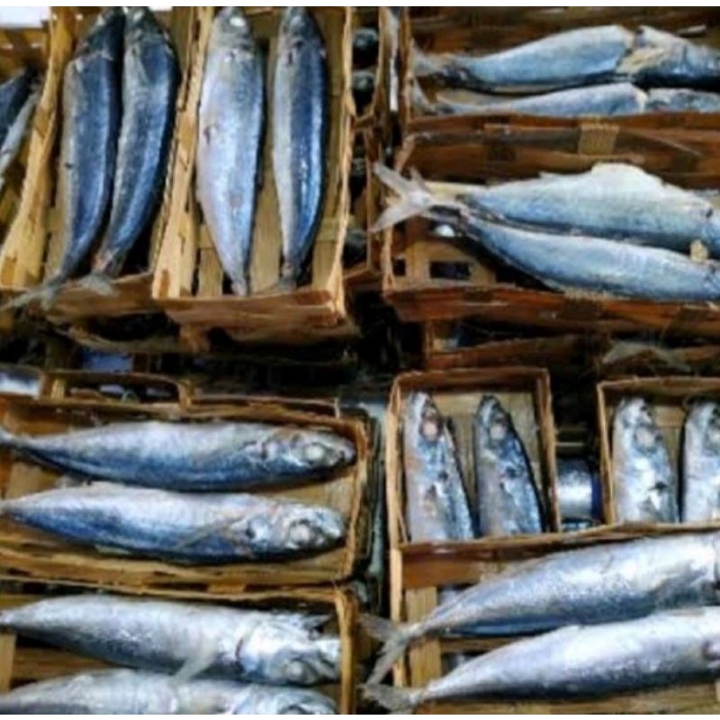 

Ikan Cue Keranjang per 2 pcs