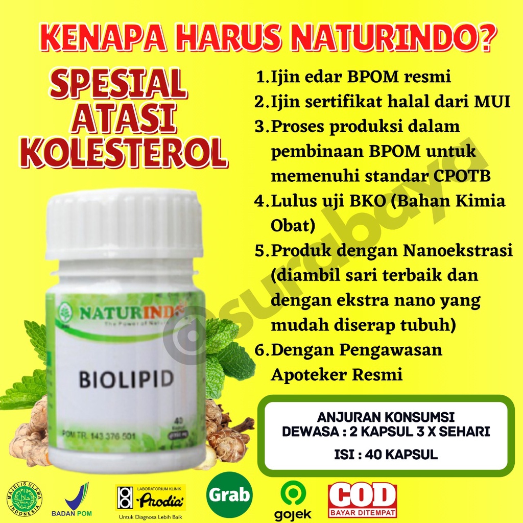 Obat Penurun Kolestrol Kolesterol Tinggi 250 Asam Urat Obat Herbal Penurun Kolestrol Jahat Darah Tinggi Obat Penghancur Lemak Darah Herbal Ampuh Menurunkan Kolesterol Bpom Jamu Kolestrol Stroke Jantung Koroner Tradisional Biolipid Naturindo Surabaya-7