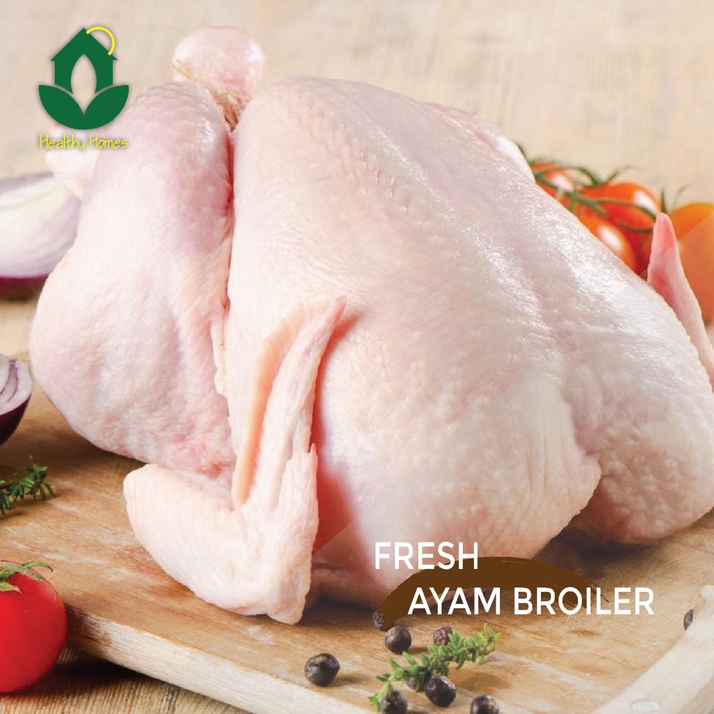 

Ayam Broiler Segar 1Pcs Jabodetabek