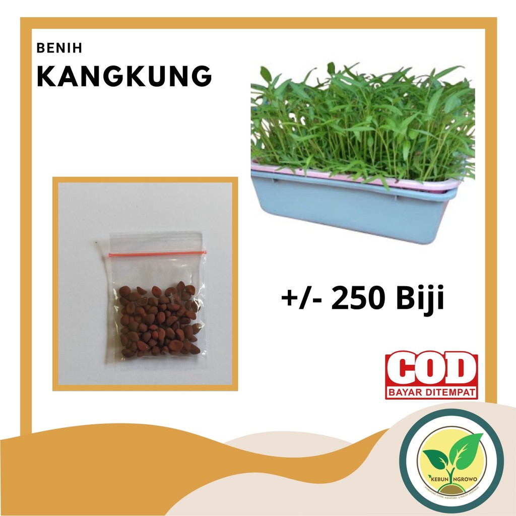 Benih Kangkung Sayuran Hidroponik Hijau Unggul 250 Biji KEMASAN KLIP