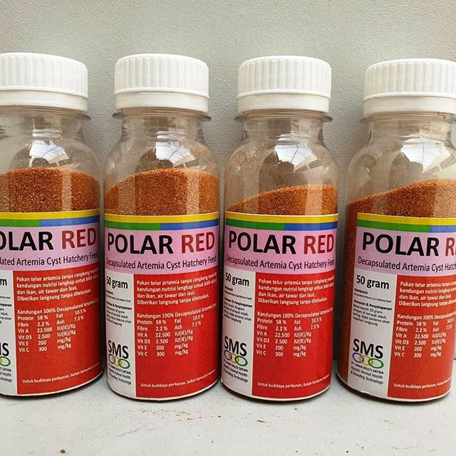 

Artemia Polar Red Repack 50gram / Artemia Tanpa Cangkang pakan burayak koi