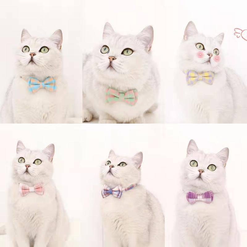 Pet cat bow collar Dengan Bell double nylon Detachable bow cat and dog Daisy Necklace