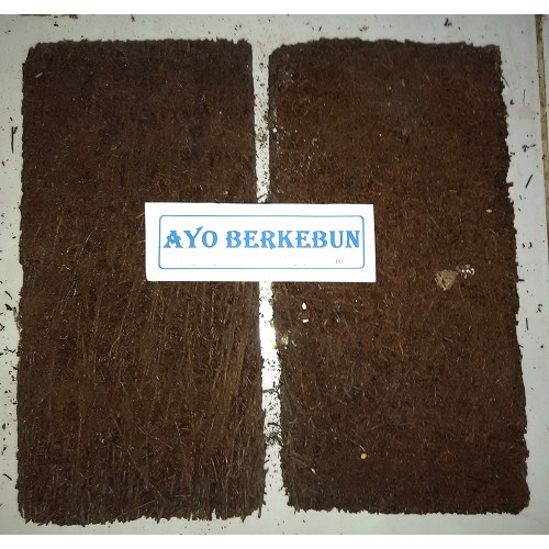 Media Tanam pakis papan / papan pakis / pakis lempeng / akar pakis batangan / media tanam anggrek