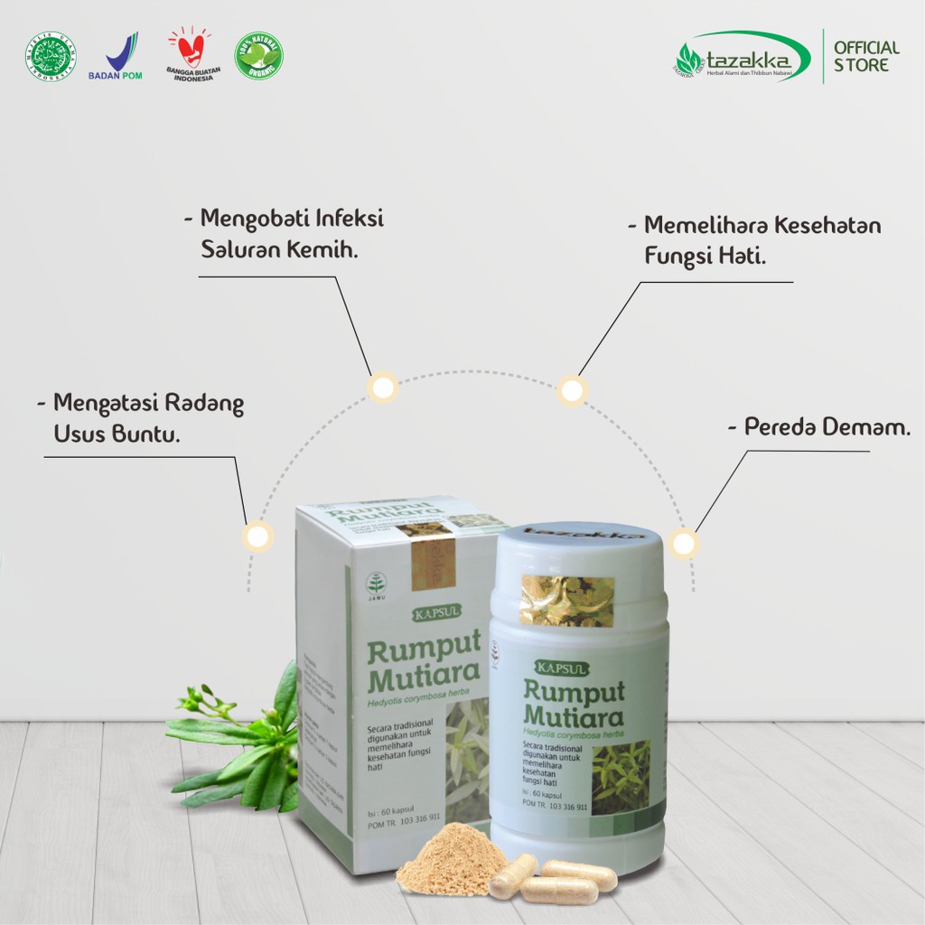 OBAT AMANDEL | OBAT Herbal RUMPUT MUTIARA Tazakka isi 60 Kapsul | Kapsul Herbal HALAL BPOM ORIGINAL