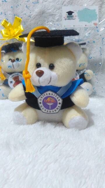 BONEKA WISUDA CUSTOM TOGA EKSLUSIF / BONEKA WISUDA / BONEKA BUKET MURAH / HADIAH WISUDA