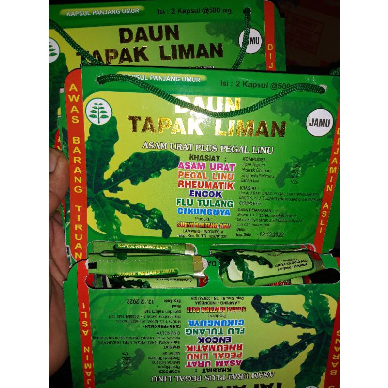 

Daun Tapak Liman asam urat