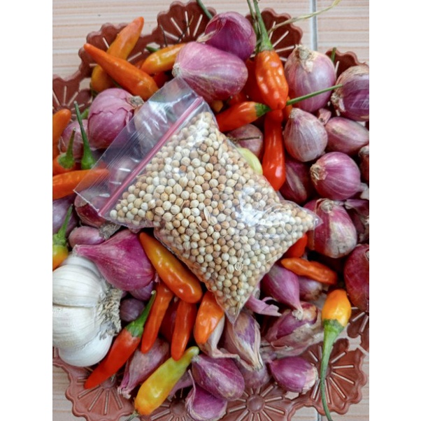 

TUMBAR BUMBU MASAK ASLI DARI PETANI 25 gr
