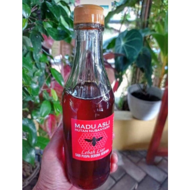 

MADU LEBAH HUTAN 300ml