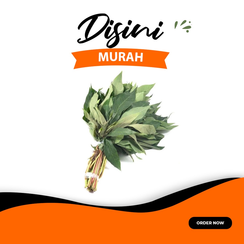 

Daun Singkong per ikat