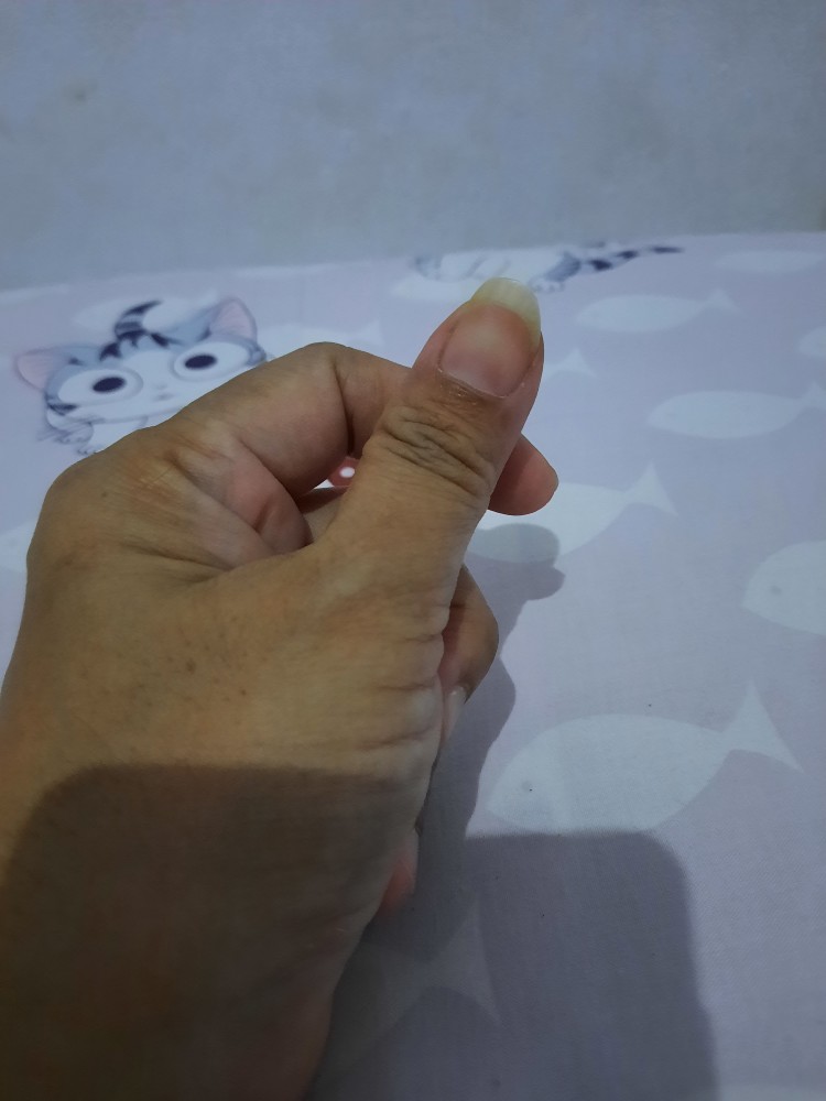 Selang Air Permeter 3/4 2mm Benang Bening/selang Air Taman/selang Siram Tanaman/selang Air Elastis