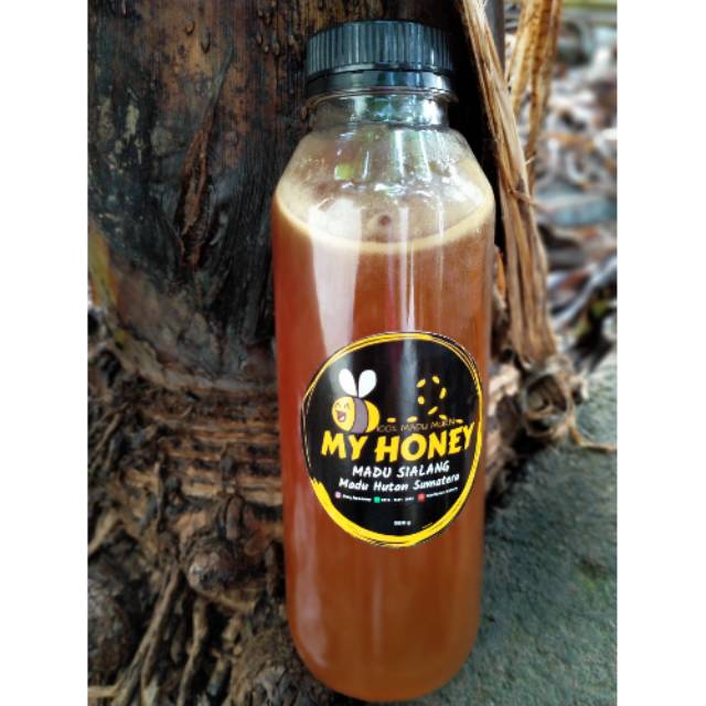 

MADU HUTAN SUMATERA MURNI, MADU SIALANG ASLI (RAW HONEY)
