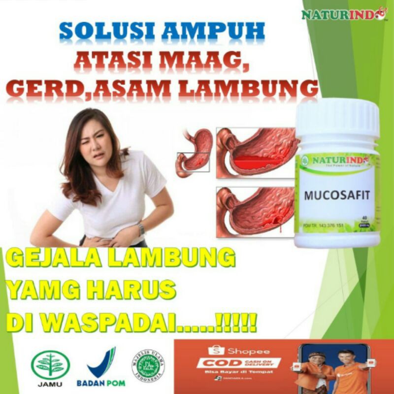 

obat herbal mag kronis asam lambung gerd mucosafit naturindo