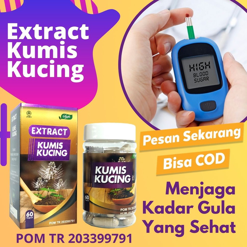 EXTRACT KUMIS KUCING SYIFA OBAT HERBAL OBAT AMPUI ATASI INFEKSI SALURAN AIR KENCING , KANDUNG KEMIH 60 KAPSUL COD