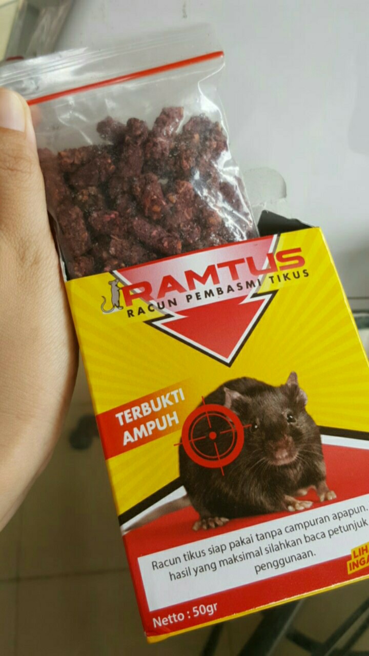 Ramtus Racun Pembasmi Koloni Tikus Paling Ampuh Mati Kering