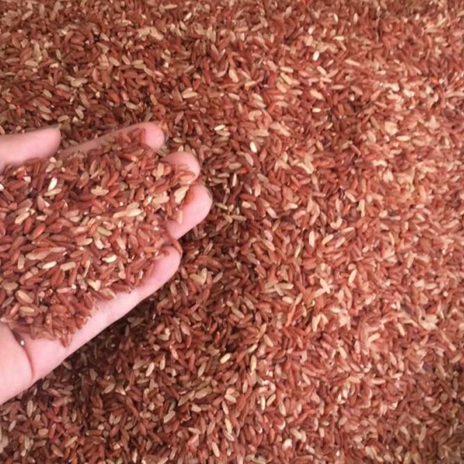 

F⚡ASH SALE Beras Merah Murah 1 Kg Untuk Konsumsi #tiktoktrend