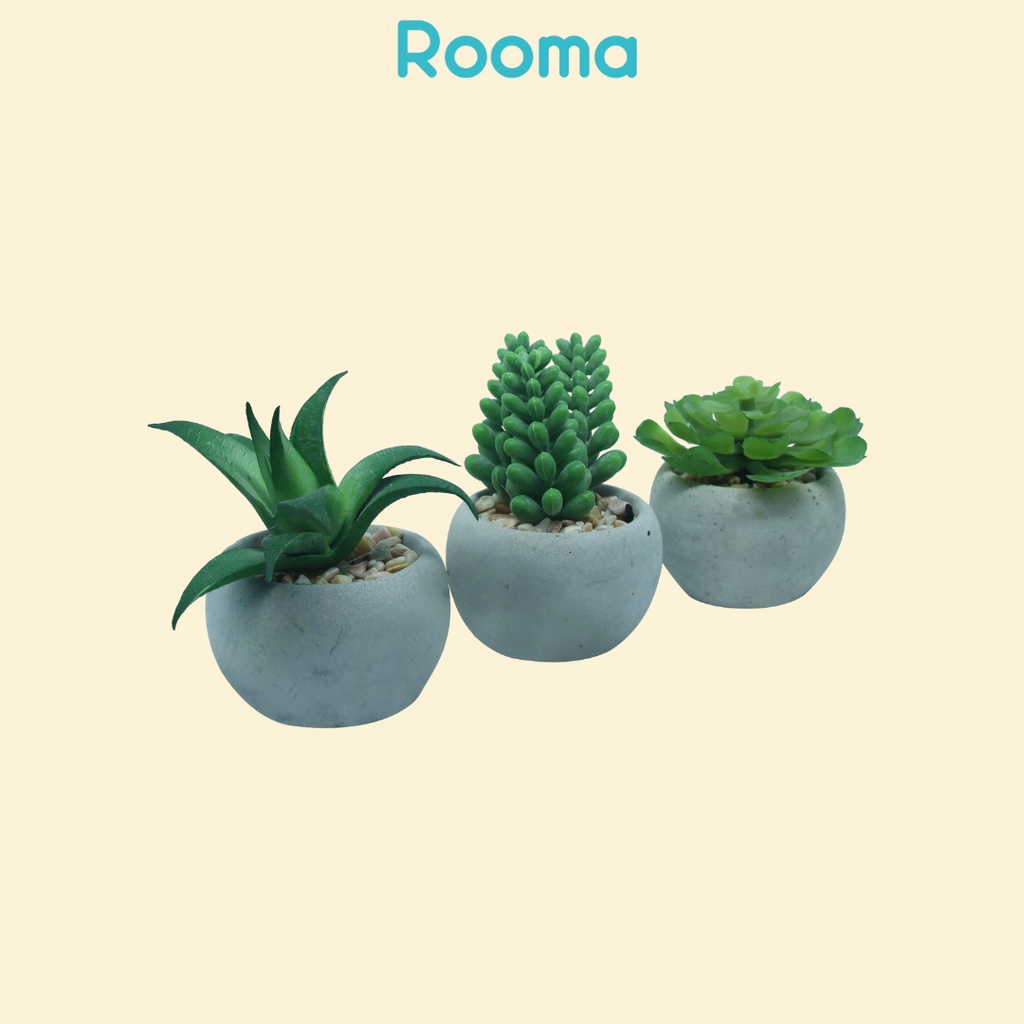Rooma Bunga Kaktus Plastik Sukulen / Cactus Mini Artificial Latex