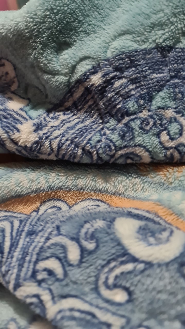 Sikat Baju Plastik / Sikat Lantai Plastik / Sikat Plastik / Sikat Baju Zamia Leaf Sb-707