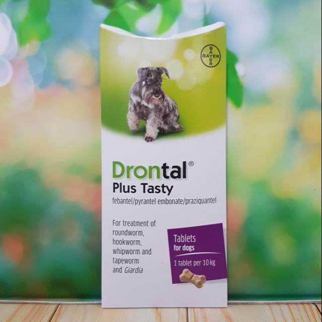 Jual Drontal Dog Plus Tasty 1 Tablet Mengobati Sakit Cacing Pada Anjing Drontal Indonesia Shopee Indonesia