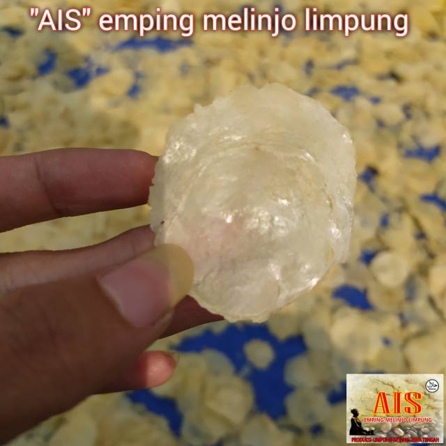 

AIS EMPING MELINJO MENTAH ORIGINAL 1/4KG