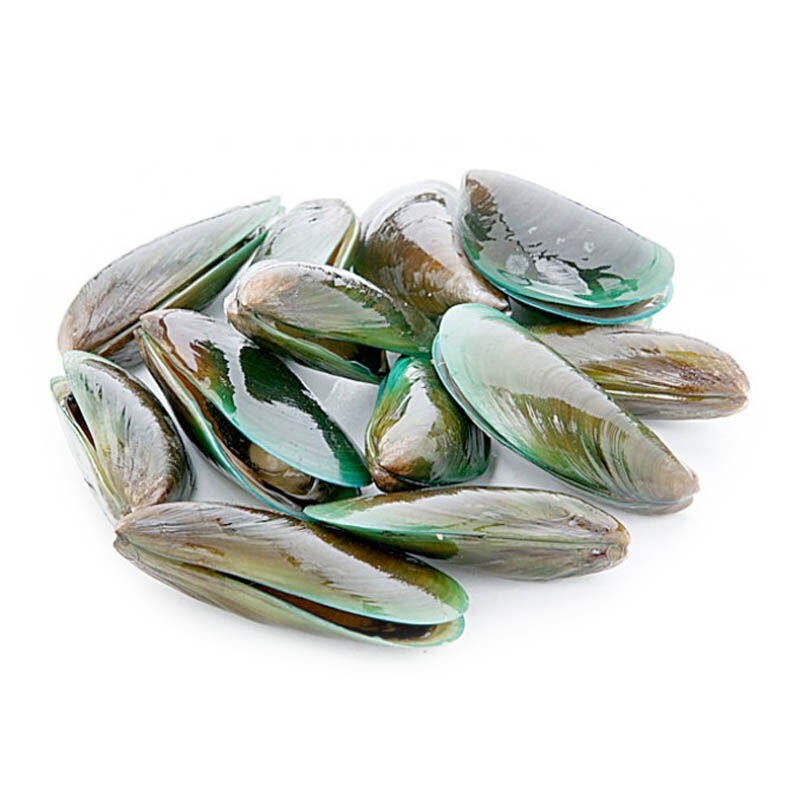 

Kerang Hijau/ Kerang Ijo Segar 1Kg