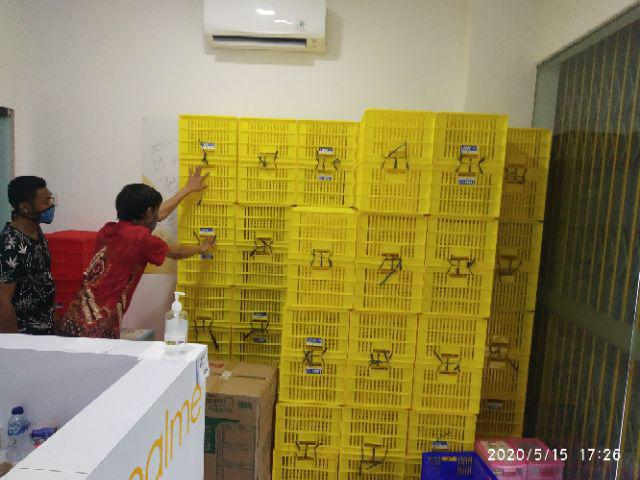 Estima Maxi Container M5 Ec-35 Lion Star Laci Plastik Kecil Susun 5