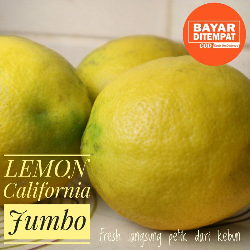 

Jeruk Lemon California 1 Kg kualitas Premium | Lemon California Termurah | Lemon segar bergaransi