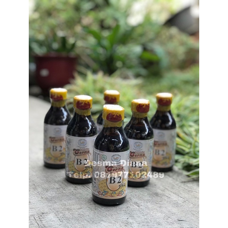 Madu Cerna B2