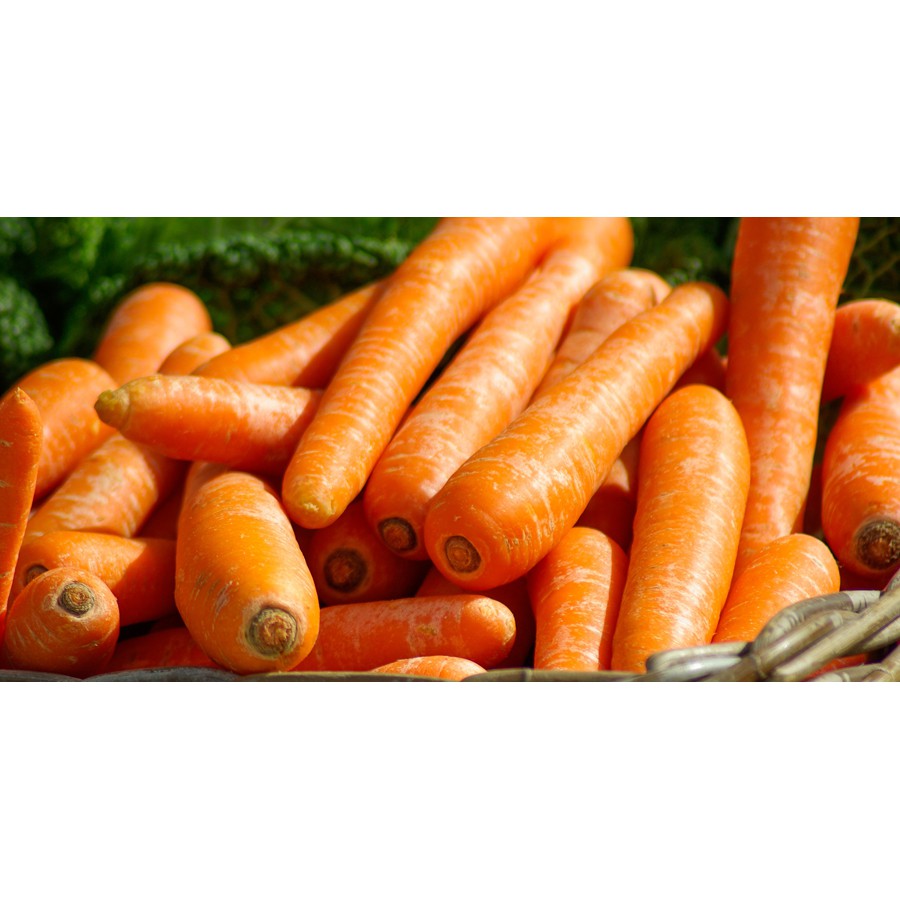 wortel Berastagi wortel impor 250gram - 500gram