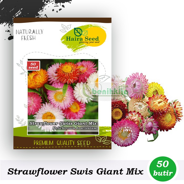 Benih-Bibit Bunga Strawflower Swiss Giant Mix (Haira Seed)