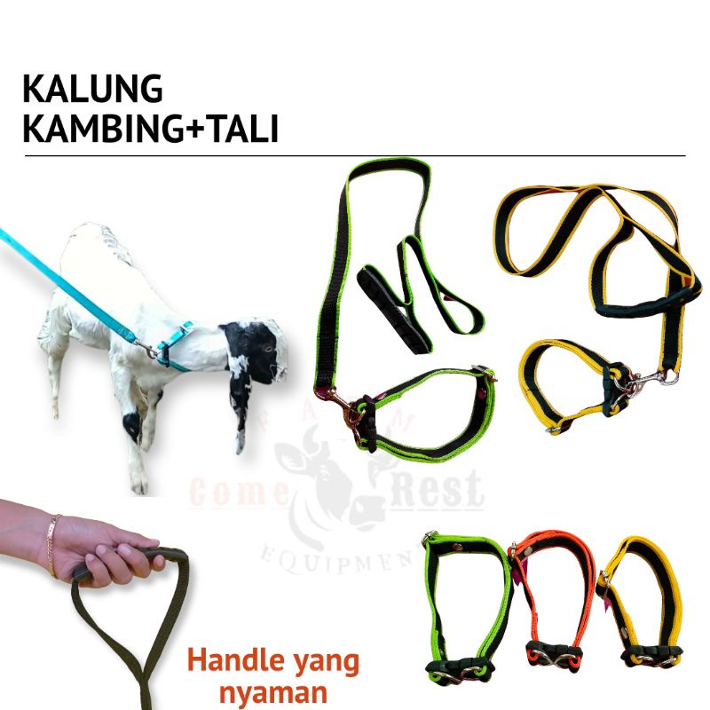 Kalung Kambing Domba Set Tali tuntun