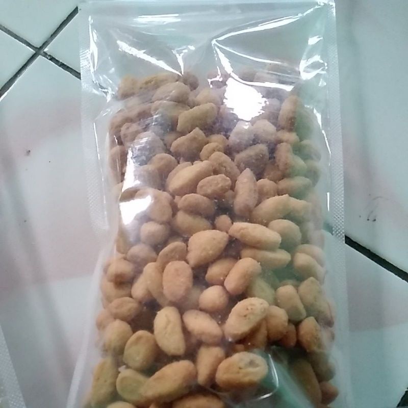 

biji ketapang