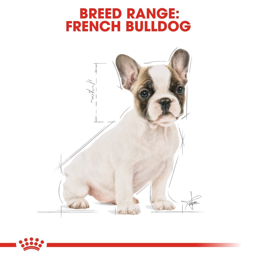 Royal Canin French Bulldog Puppy Junior Frenchie 3kg 3 kg RC Dog Food