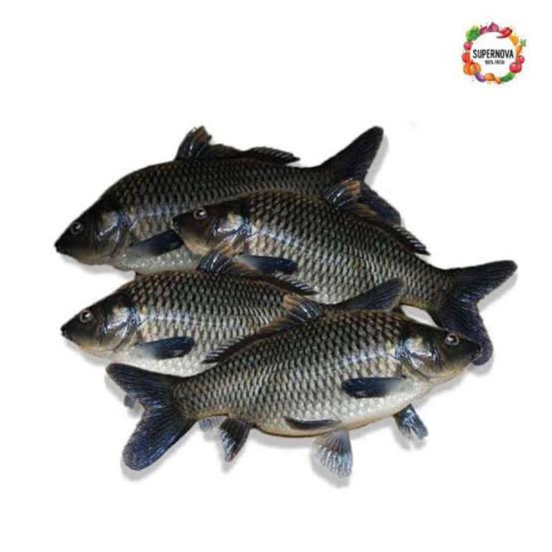 

Ikan Mas- (sudah bersih) Bakul Sayur Bandung