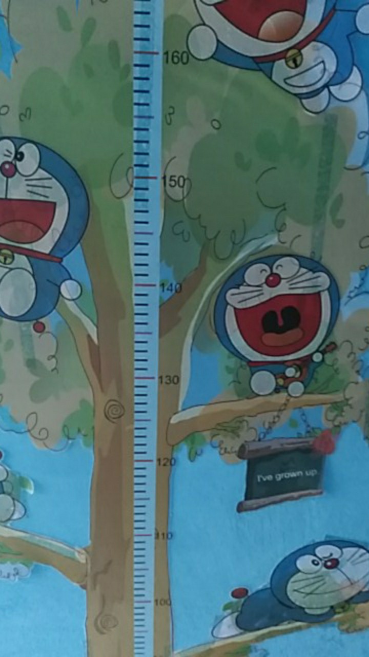 Meth Ay238 Grow Up Doraemon Wallsticker 2x60x90 Wallstiker Transparan