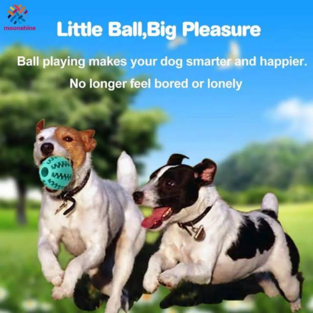 Mainan Gigit Anjing &quot;FEEDER BALL&quot; Dog Chews Toy