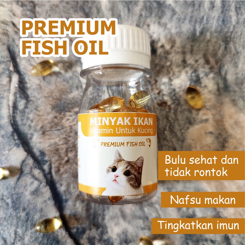Minyak Ikan Kucing Premium