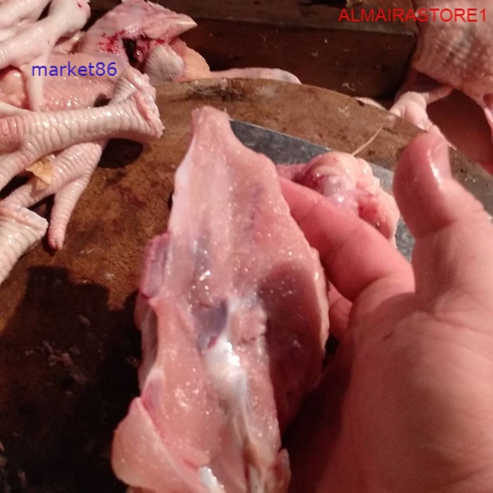 

TULANG KERONGKONG AYAM SEGAR 500 GRAM -WFB .
