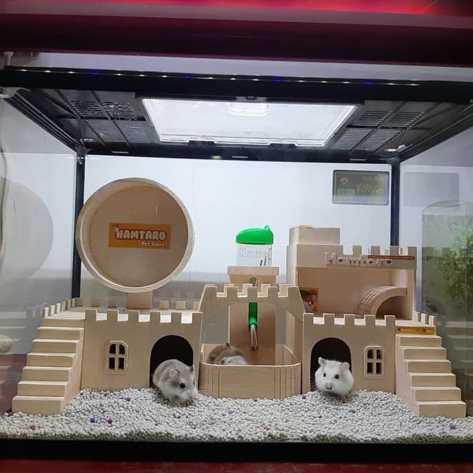 TERARIUM kandang hamster Besar dan Lucu mewah dan fullset