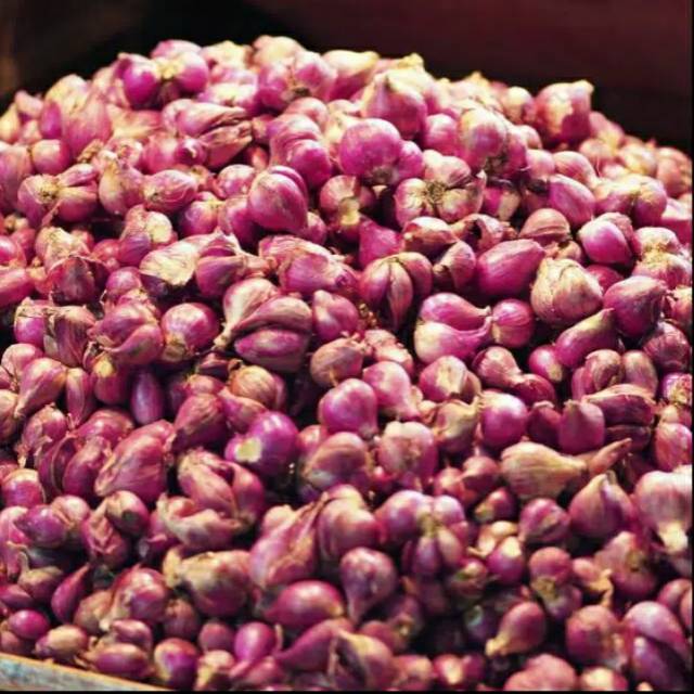 

BAWANG MERAH ASLI UKURAN SEDANG