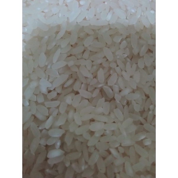 

Bareh/beras Kuriak Kusuik/Sokan asli Ampek Angkek