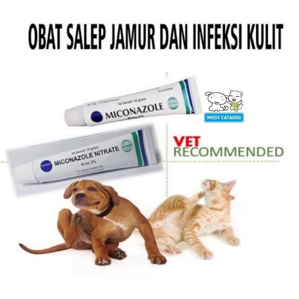 Jual Obat Salep Miconazole Nitrate 10g Jamur Luka Infeksi Kucing Anjing
