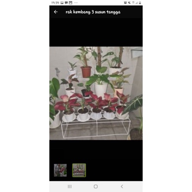 rak-kembang- 3susun
